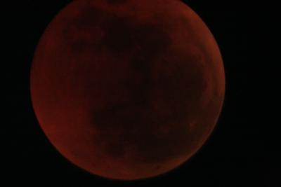 img_8242.jpg